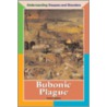 Bubonic Plague door Rachel Lynette