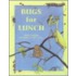 Bugs For Lunch