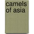 Camels of Asia