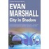 City In Shadow