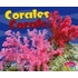 Corales/Corals