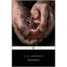 D. H. Lawrence by Michael H. Black