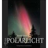 Das Polarlicht door Harald Falck-Ytter