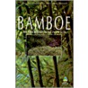 Bamboe door J. van Doesburg