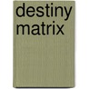 Destiny Matrix door Jack Sarfatti