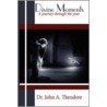 Divine Moments door Dr. John A. Theodore