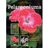 Pelargoniums