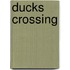 Ducks Crossing