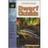 Dwarf Cichlids