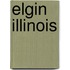 Elgin Illinois