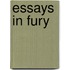 Essays In Fury