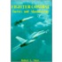 Fighter Combat