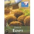 Foods Of Egypt