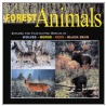 Forest Animals by Laura Evert