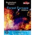 Forest Furnace