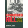 Hamburger Hill by Samuel Zaffiri