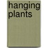 Hanging Plants