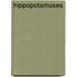 Hippopotamuses