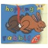 Hopping Rabbit door Amanda Leslie