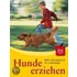 Hunde erziehen