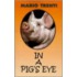 In A Pig's Eye