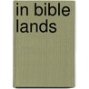 In Bible Lands door Richard Newton