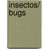 Insectos/ Bugs