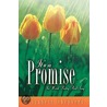 It's a Promise by Elizabeth Shepherd