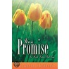 It's a Promise door Elizabeth Shepherd