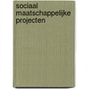 Sociaal maatschappelijke projecten door W.J.P.M. Lokerman