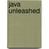 Java Unleashed