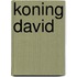 Koning David