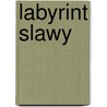 Labyrint Slawy by Jan Erazim woccel