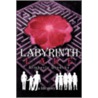 Labyrinth Lake door Kimberly Brodsky