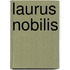 Laurus Nobilis