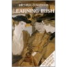 Learning Irish by Micheal O. Siadhail