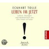 Leben im Jetzt door Eckhart Tolle