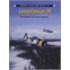 Lentolaivue 24