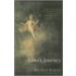 Lewi's Journey