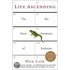 Life Ascending