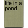 Life in a Pond by Lorien Kite