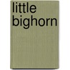 Little Bighorn door Vincent A. Heier