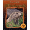 Little Marmots door Anne Royer