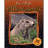 Little Marmots by Anne Royer
