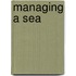 Managing A Sea