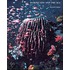 Marine Biology