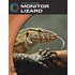 Monitor Lizard