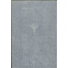 Zilvertype corps 15 door S.H. de Roos
