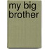 My Big Brother