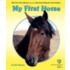 My First Horse